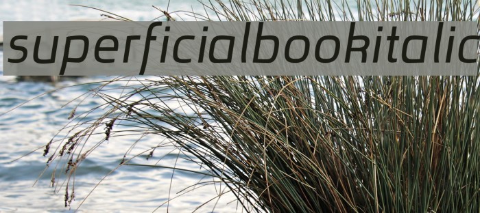 superficialbookitalic Font examples