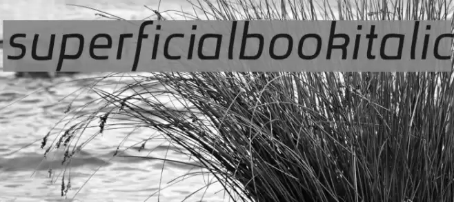 superficialbookitalic examples