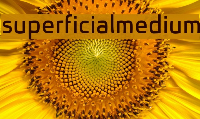 superficialmedium Example 3