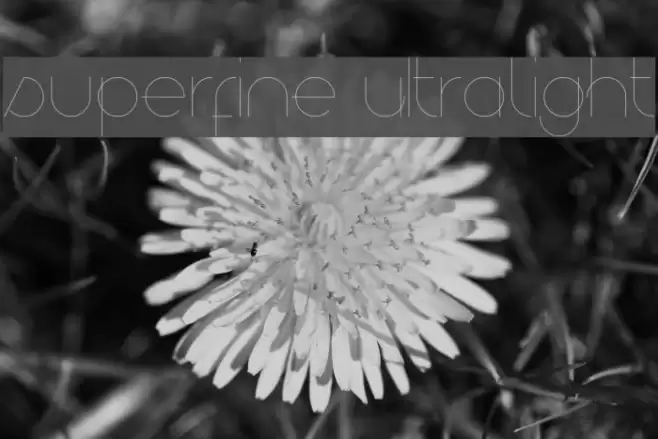 superfine UltraLight Font examples