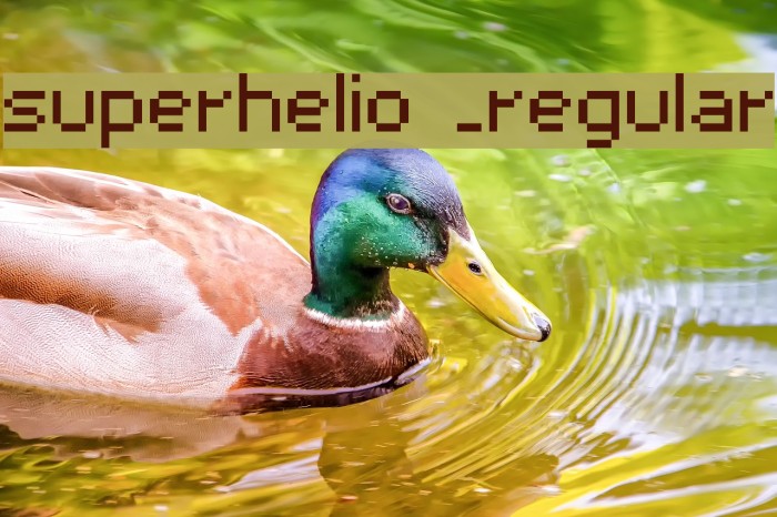superhelio _regular Font examples
