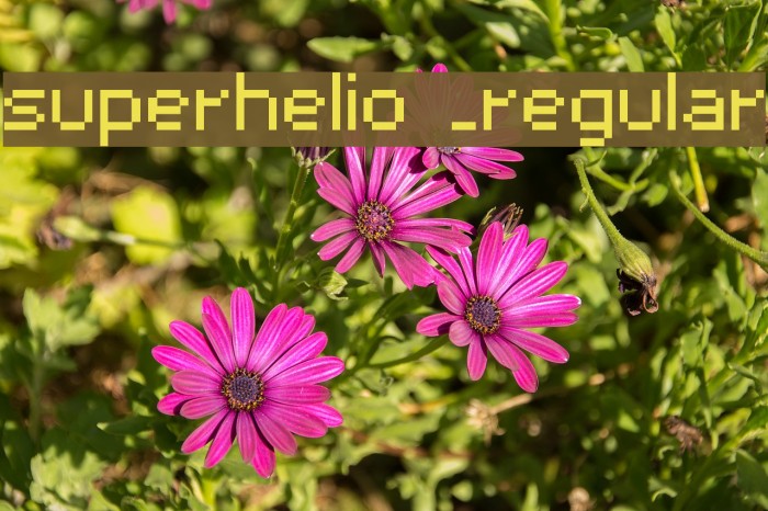 superhelio _regular Font examples