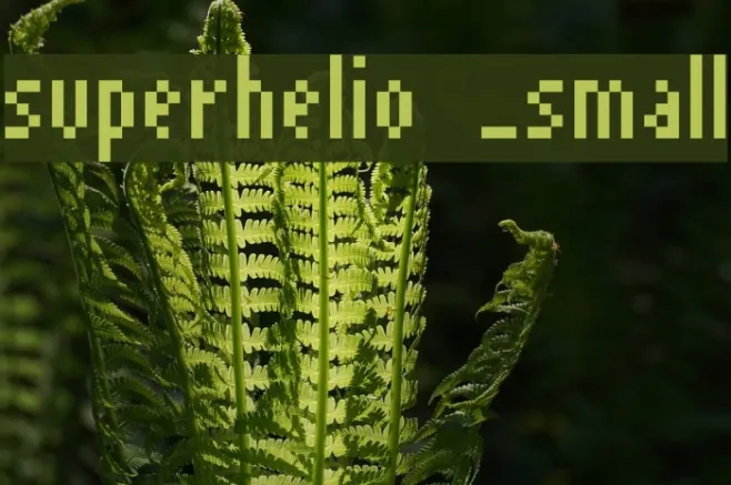 superhelio _small Example 2