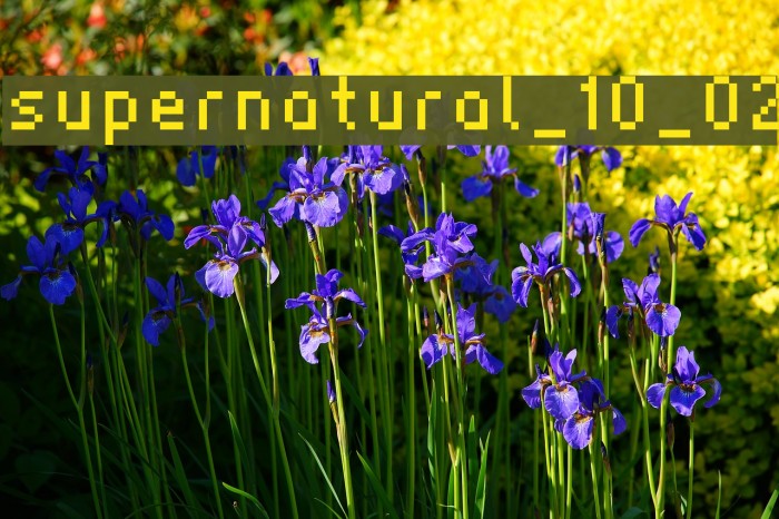 supernatural_10_02 Font examples