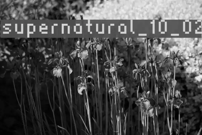 supernatural_10_02 Schriftart examples