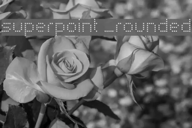 superpoint _rounded Font examples