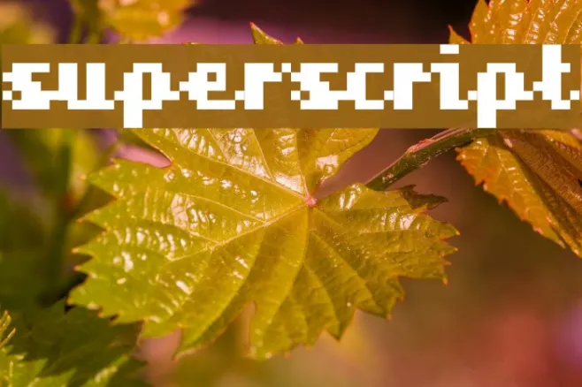 superscript Example 2