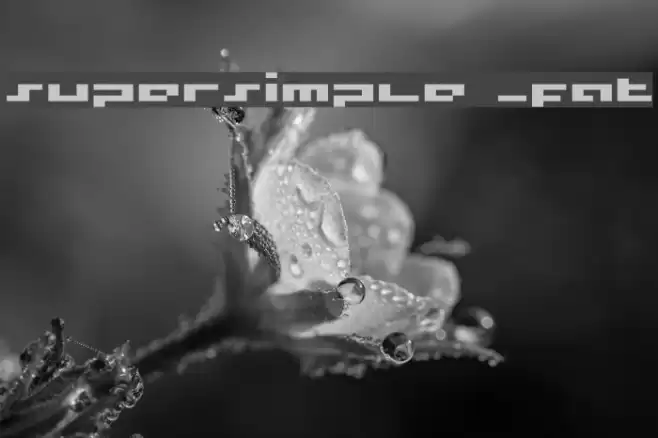 supersimple _fat Fonte examples