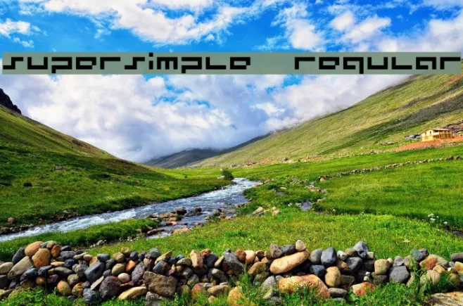 supersimple  regular Example 3