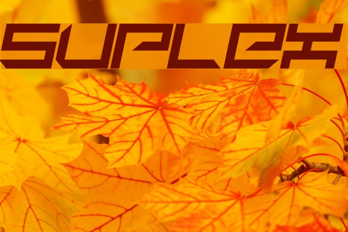 suplex Font examples