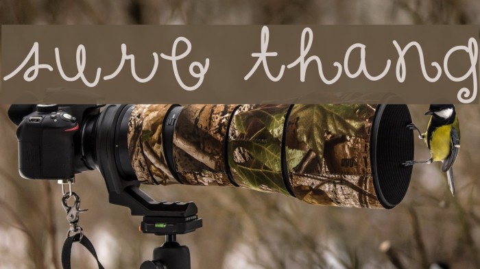 sure thang Font examples