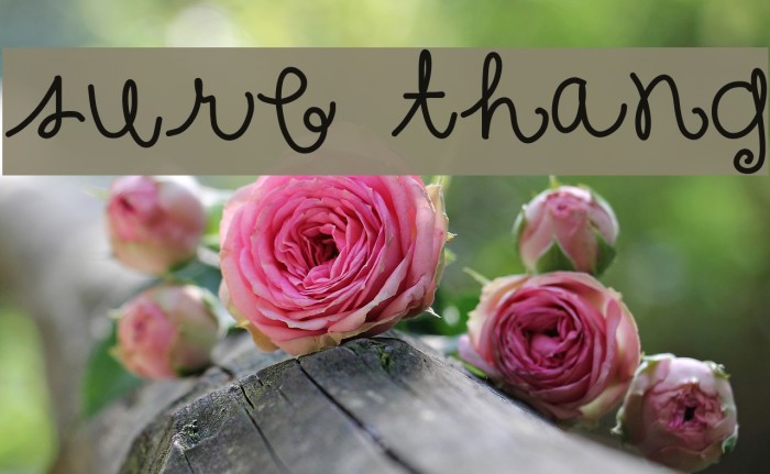 sure thang Font examples