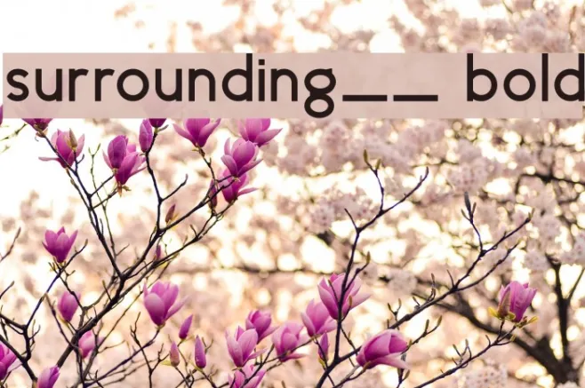 surrounding__ bold Example 3