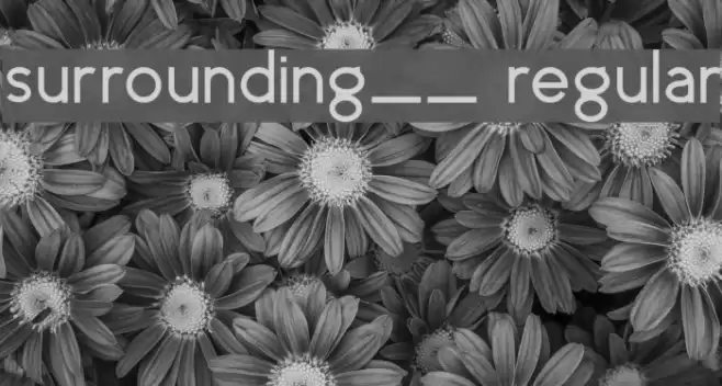 surrounding__ regular フォント examples