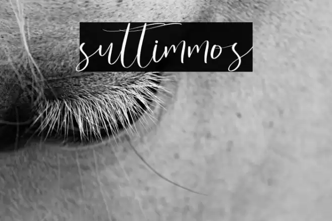 suttimmos Font examples