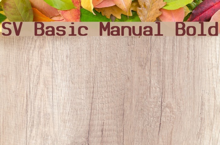 SV Basic Manual Bold Font examples