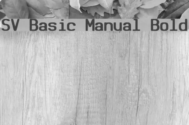 SV Basic Manual Bold Font examples