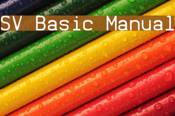 SV Basic Manual Caratteri examples