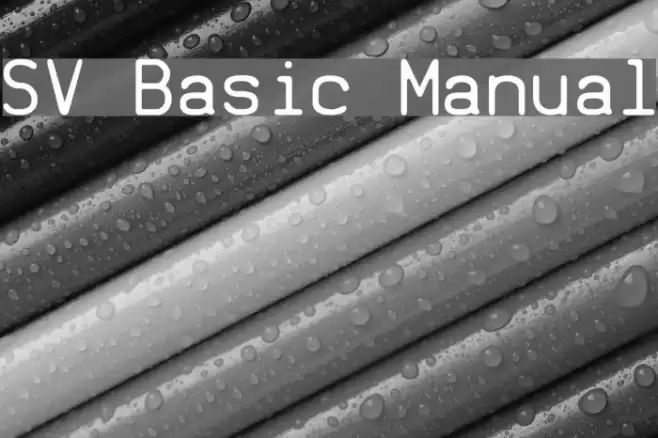 SV Basic Manual Caratteri examples