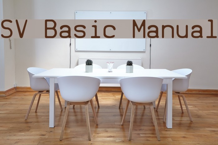 SV Basic Manual Caratteri examples