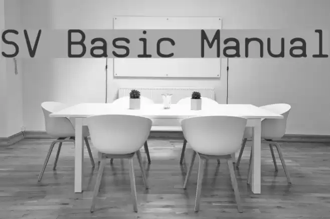 SV Basic Manual Caratteri examples