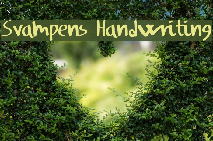 Svampens Handwriting Font examples