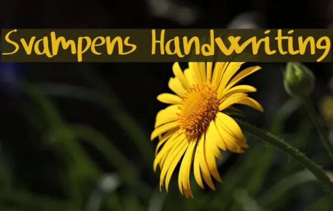 Svampens Handwriting Example 2