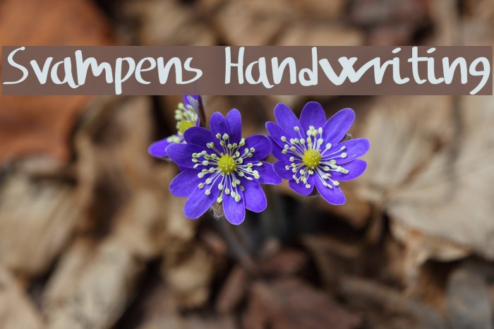 Svampens Handwriting Font examples