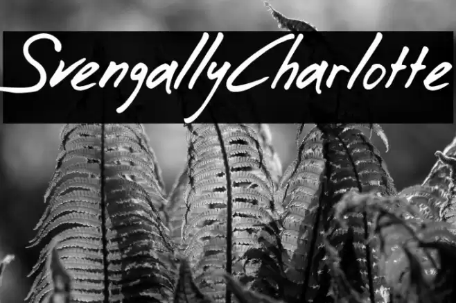 SvengallyCharlotte Font examples