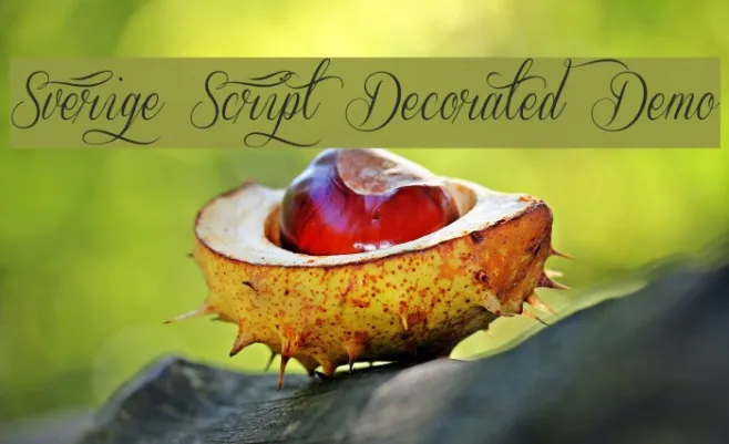 Sverige Script Decorated Demo Example 3