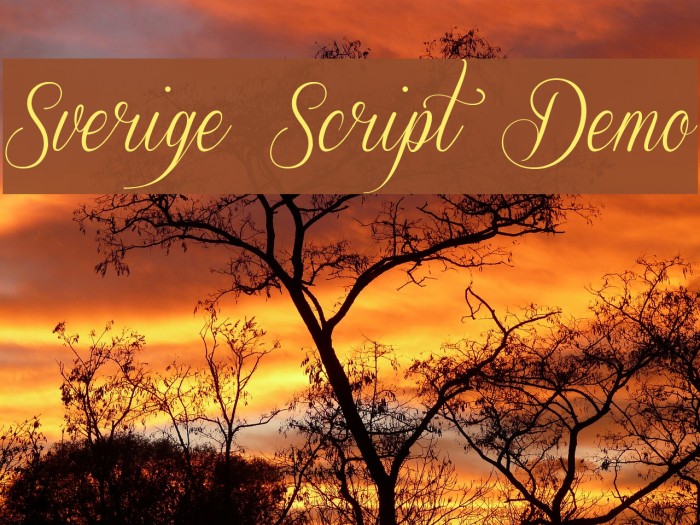 Sverige Script Demo Font examples