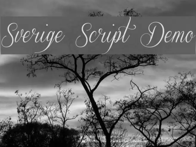 Sverige Script Demo Font examples
