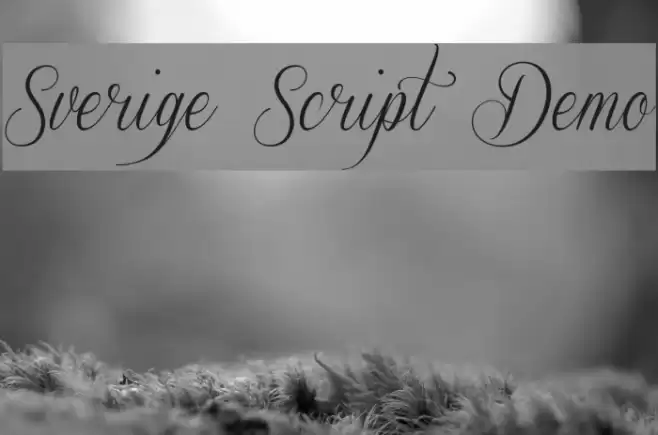 Sverige Script Demo Font examples