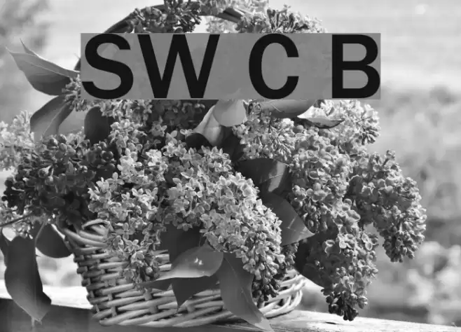 SW Crawl Body Caratteri examples