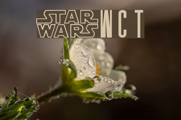 SW Crawl Title Font examples