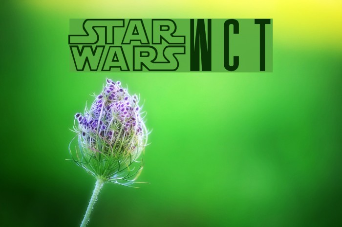 SW Crawl Title Font examples