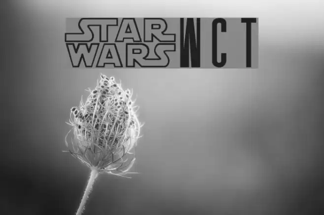 SW Crawl Title フォント examples