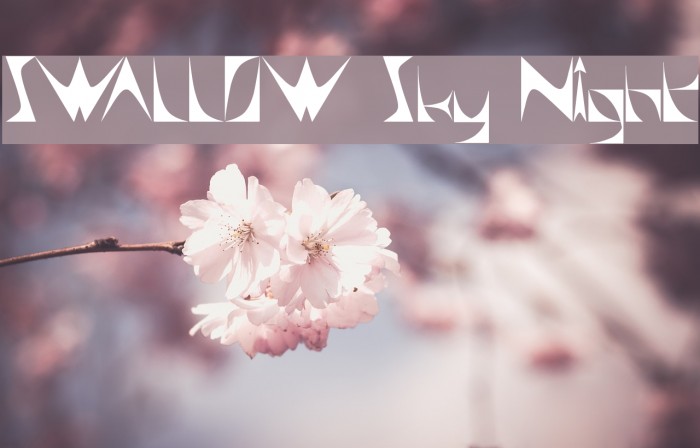 SWALLOW Sky Night Font examples