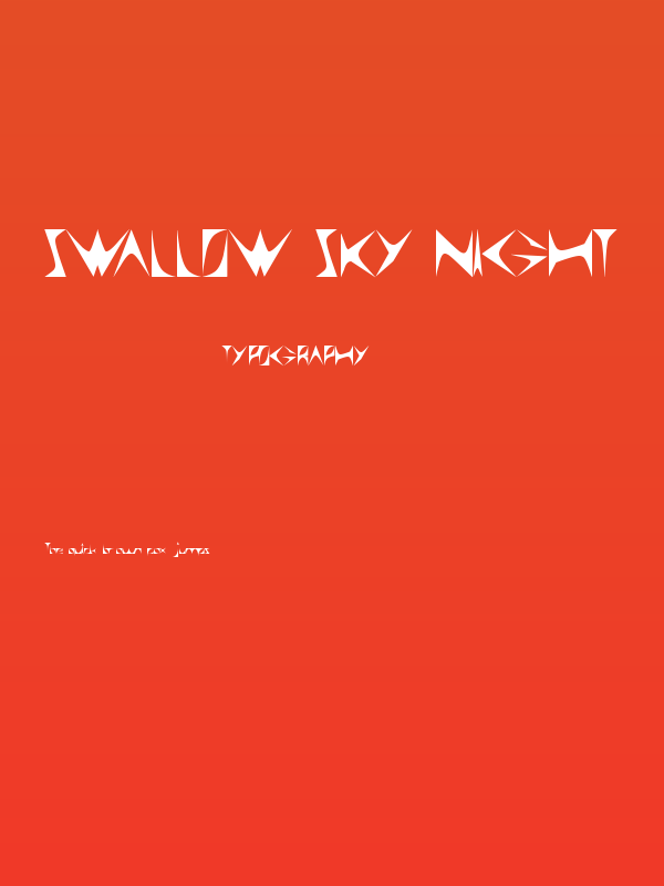 SWALLOW Sky Night Poster