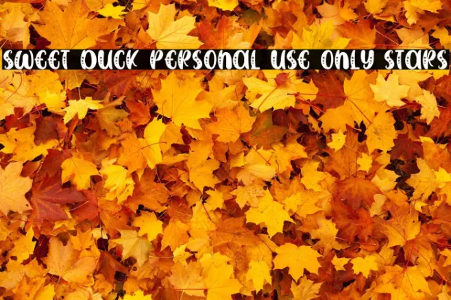 SWEET DUCK Personal Use ONly Stars Example 2