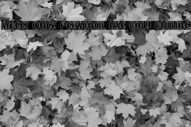 SWEET DUCK Personal Use Only Outline Font examples