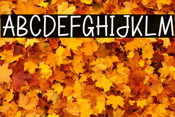 SWEET MARKER Example 1