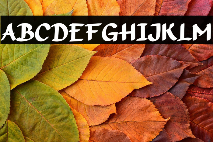 SWEET MOUTH Example 1