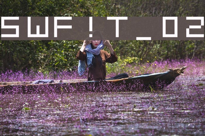 SWF!T_v02 Font examples