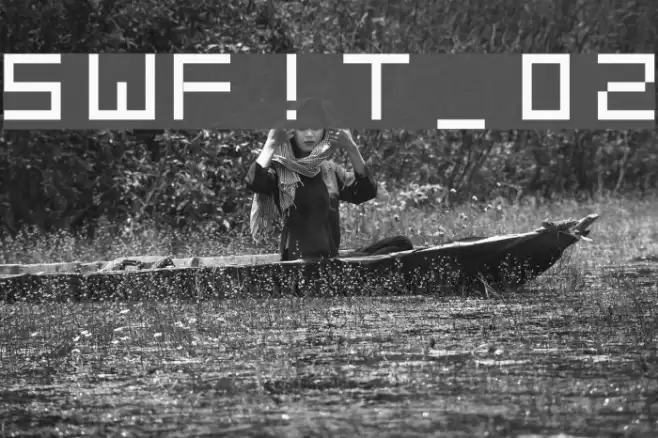 SWF!T_v02 Шрифта examples