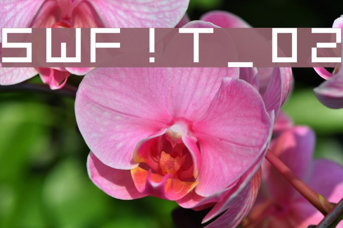 SWF!T_v02 Font examples