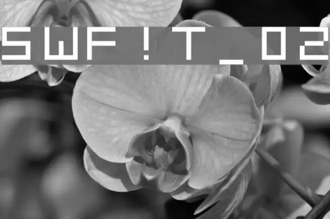 SWF!T_v02 Шрифта examples