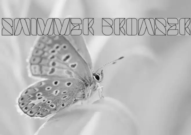 SWIMMER BROWSER Font examples