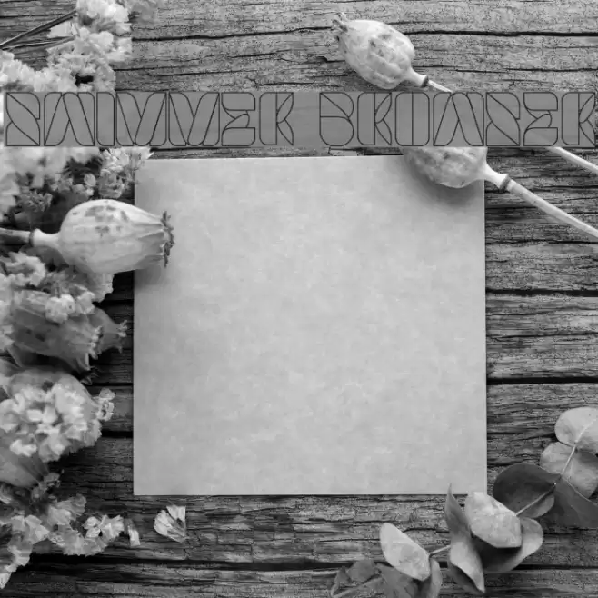 SWIMMER BROWSER Font examples