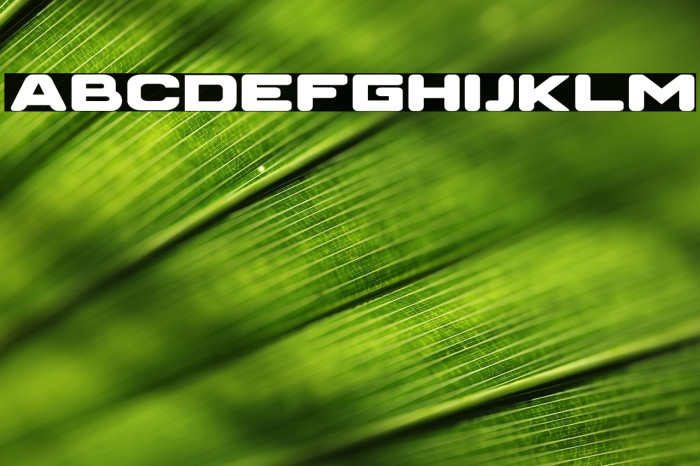 SWITCH STRECTH Example 2